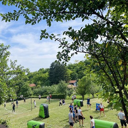 Vila Davidovic-Fruska Gora Mandelos Exteriér fotografie