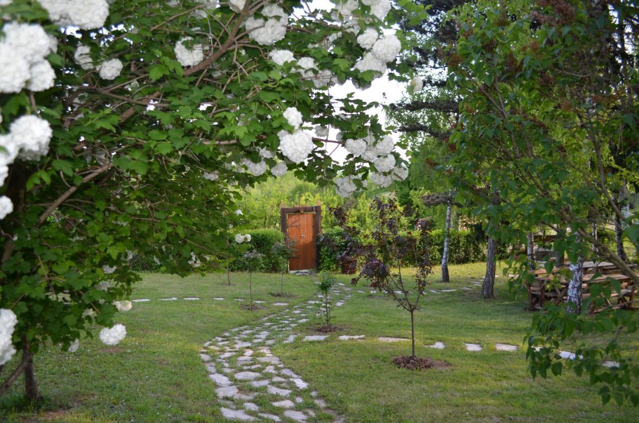 Vila Davidovic-Fruska Gora Mandelos Exteriér fotografie