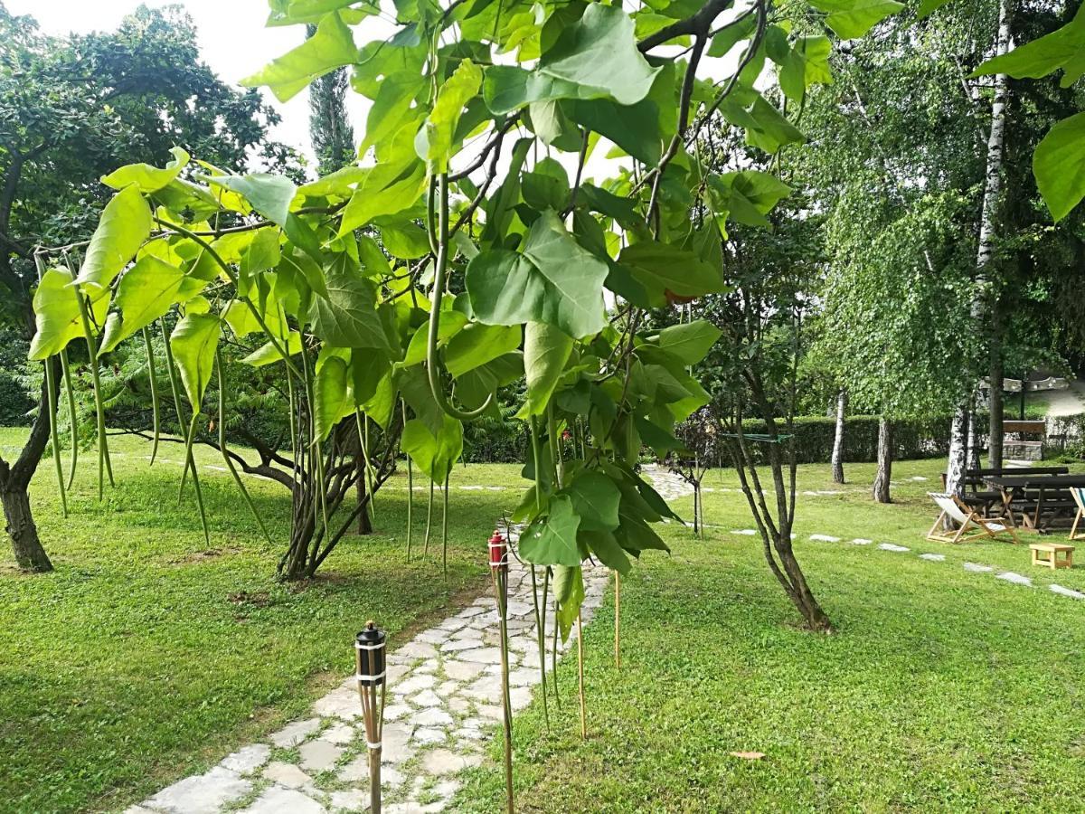 Vila Davidovic-Fruska Gora Mandelos Exteriér fotografie
