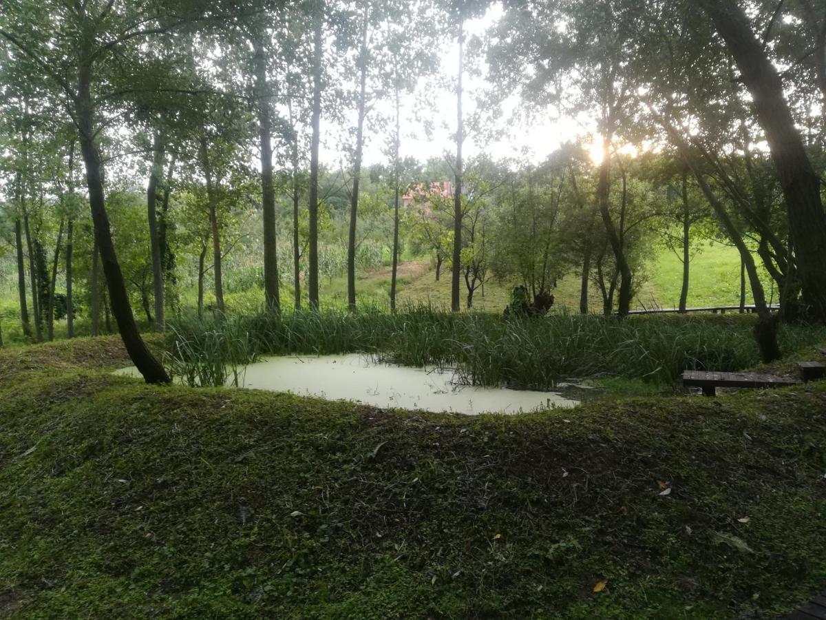 Vila Davidovic-Fruska Gora Mandelos Exteriér fotografie