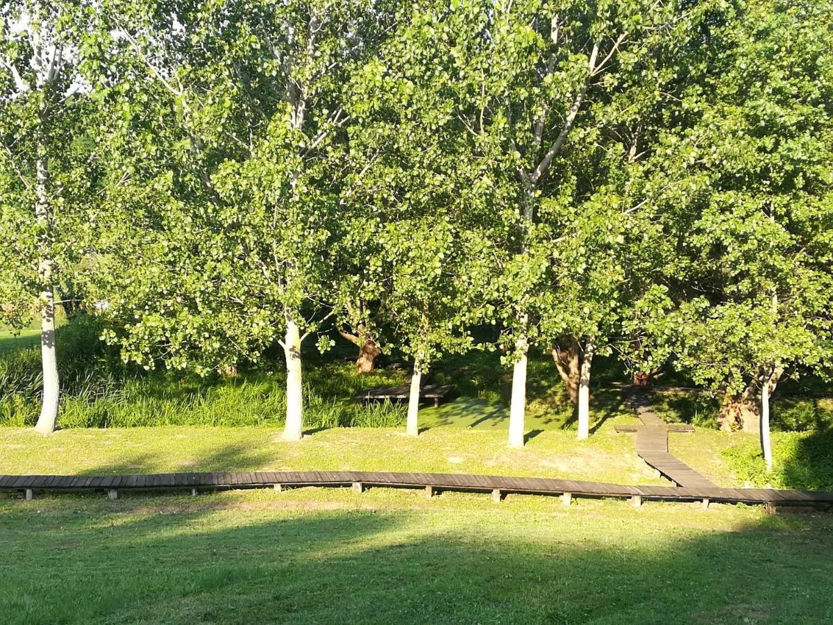 Vila Davidovic-Fruska Gora Mandelos Exteriér fotografie