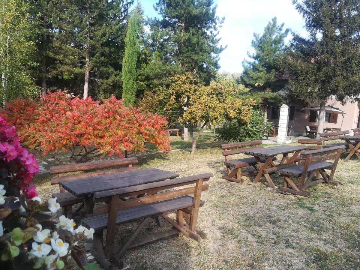 Vila Davidovic-Fruska Gora Mandelos Exteriér fotografie