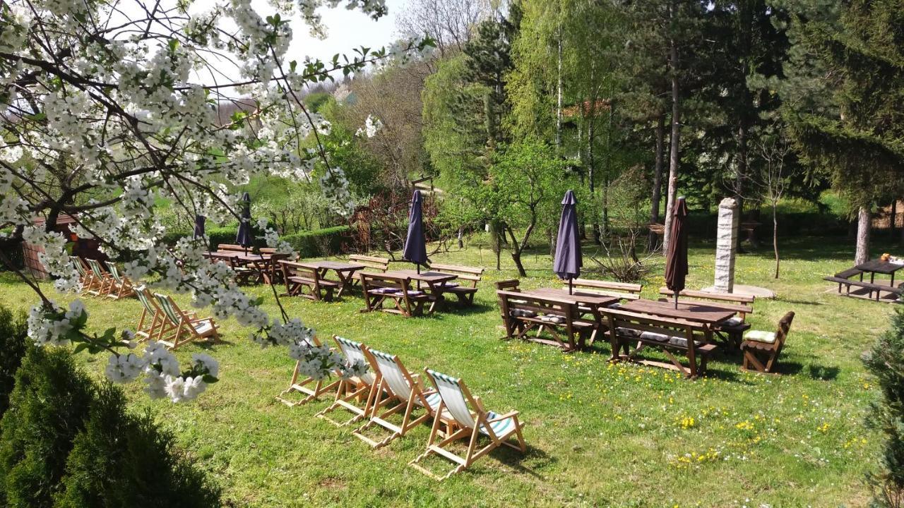 Vila Davidovic-Fruska Gora Mandelos Exteriér fotografie