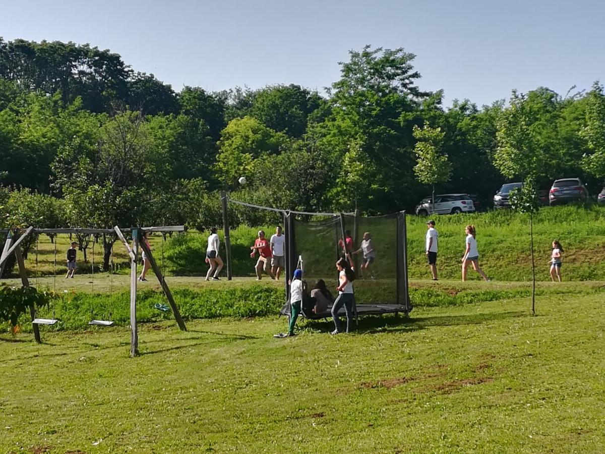 Vila Davidovic-Fruska Gora Mandelos Exteriér fotografie