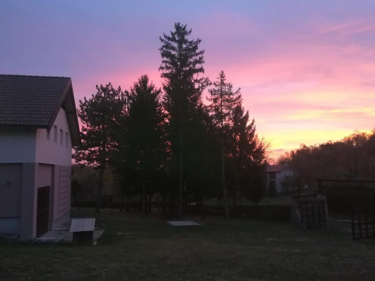 Vila Davidovic-Fruska Gora Mandelos Exteriér fotografie