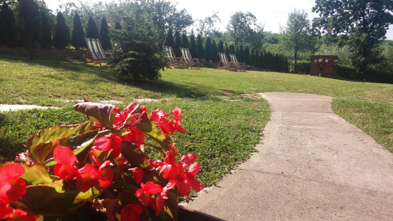Vila Davidovic-Fruska Gora Mandelos Exteriér fotografie