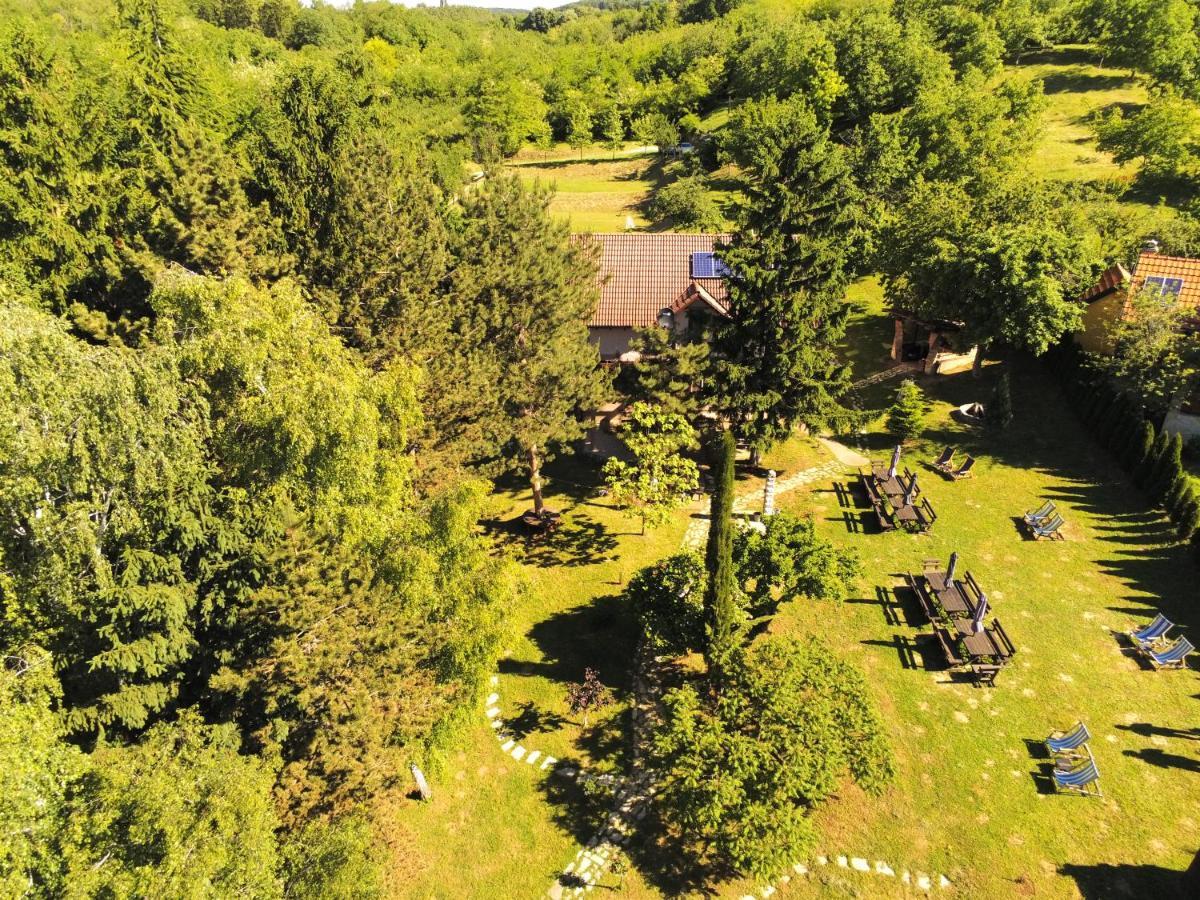 Vila Davidovic-Fruska Gora Mandelos Exteriér fotografie