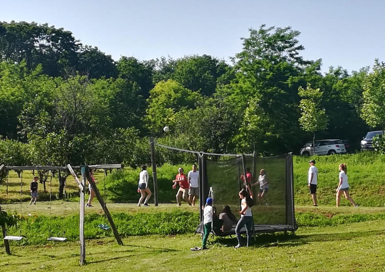 Vila Davidovic-Fruska Gora Mandelos Exteriér fotografie