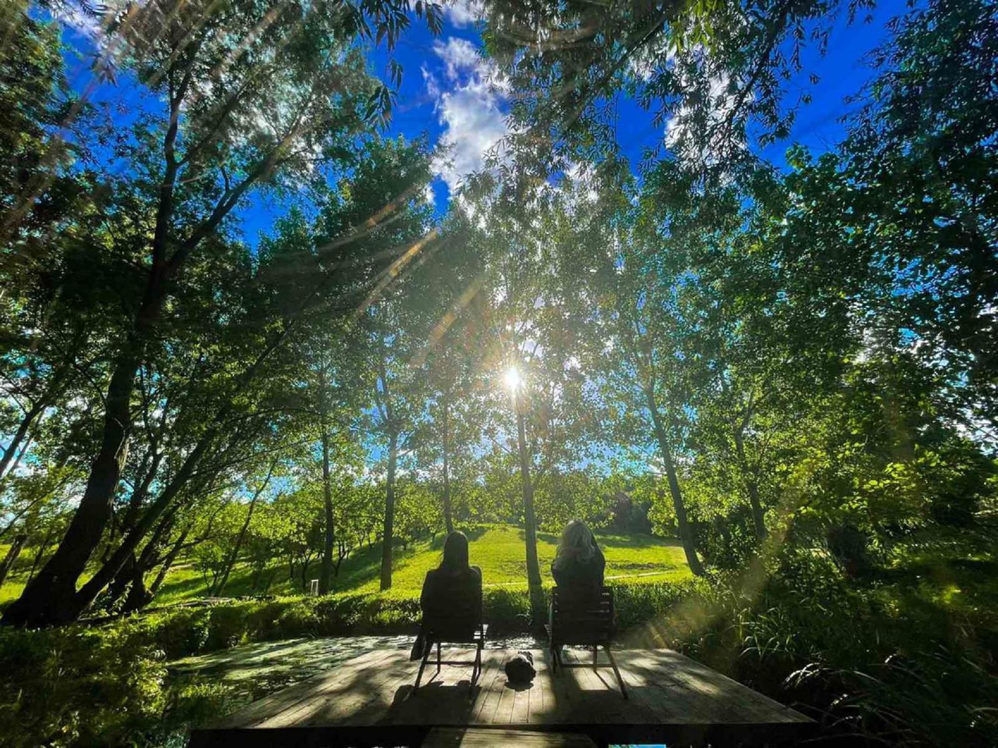 Vila Davidovic-Fruska Gora Mandelos Exteriér fotografie