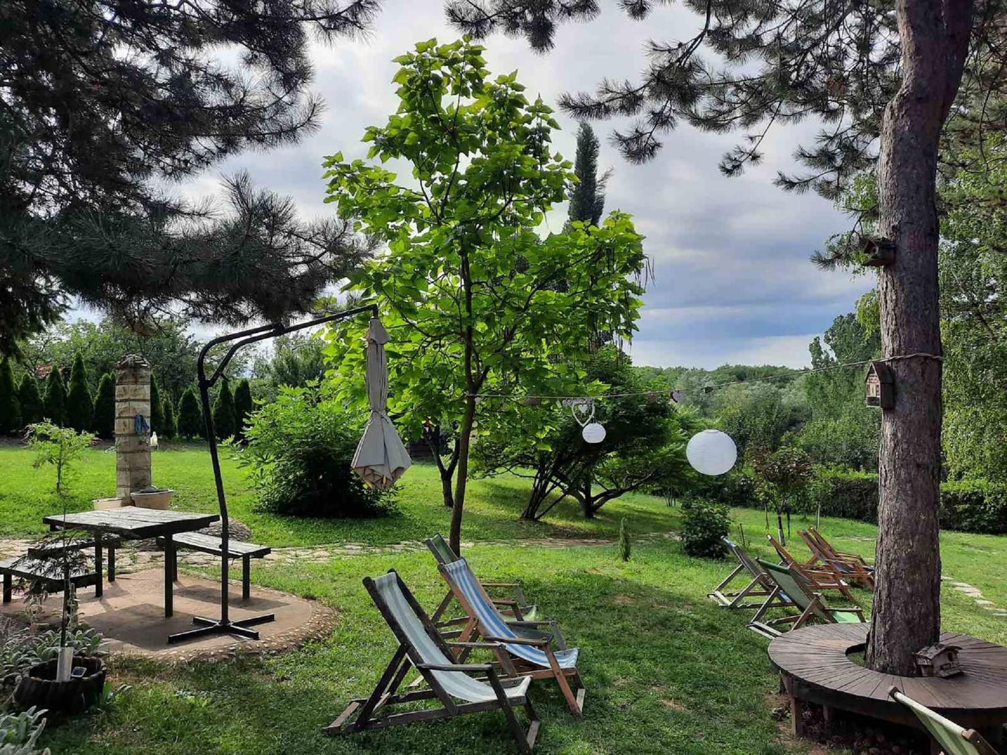 Vila Davidovic-Fruska Gora Mandelos Exteriér fotografie