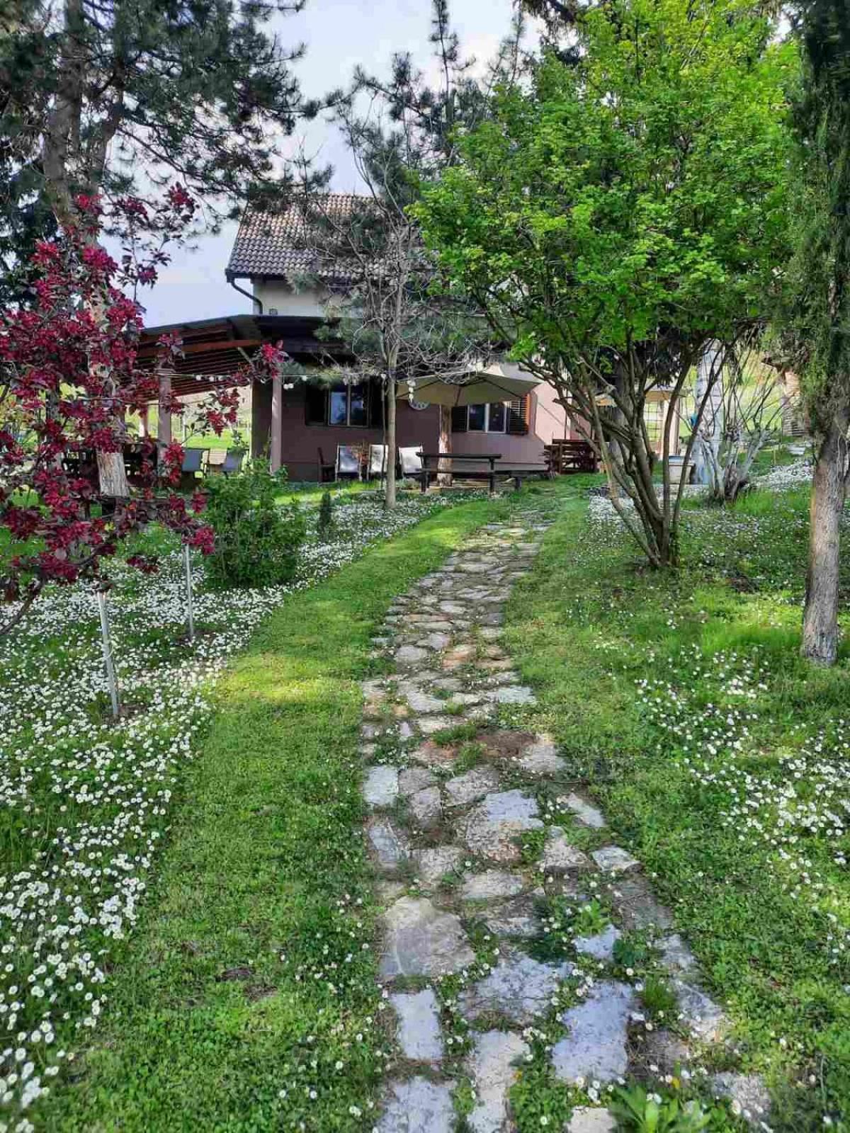 Vila Davidovic-Fruska Gora Mandelos Exteriér fotografie