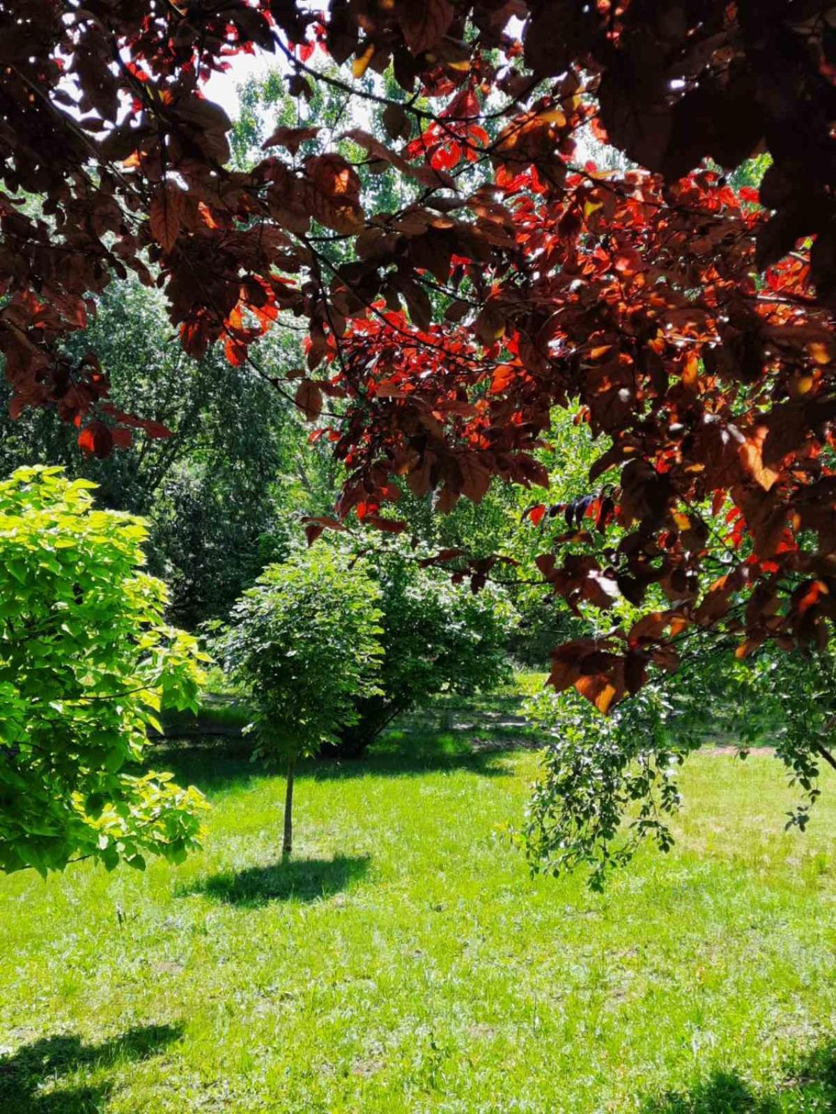 Vila Davidovic-Fruska Gora Mandelos Exteriér fotografie