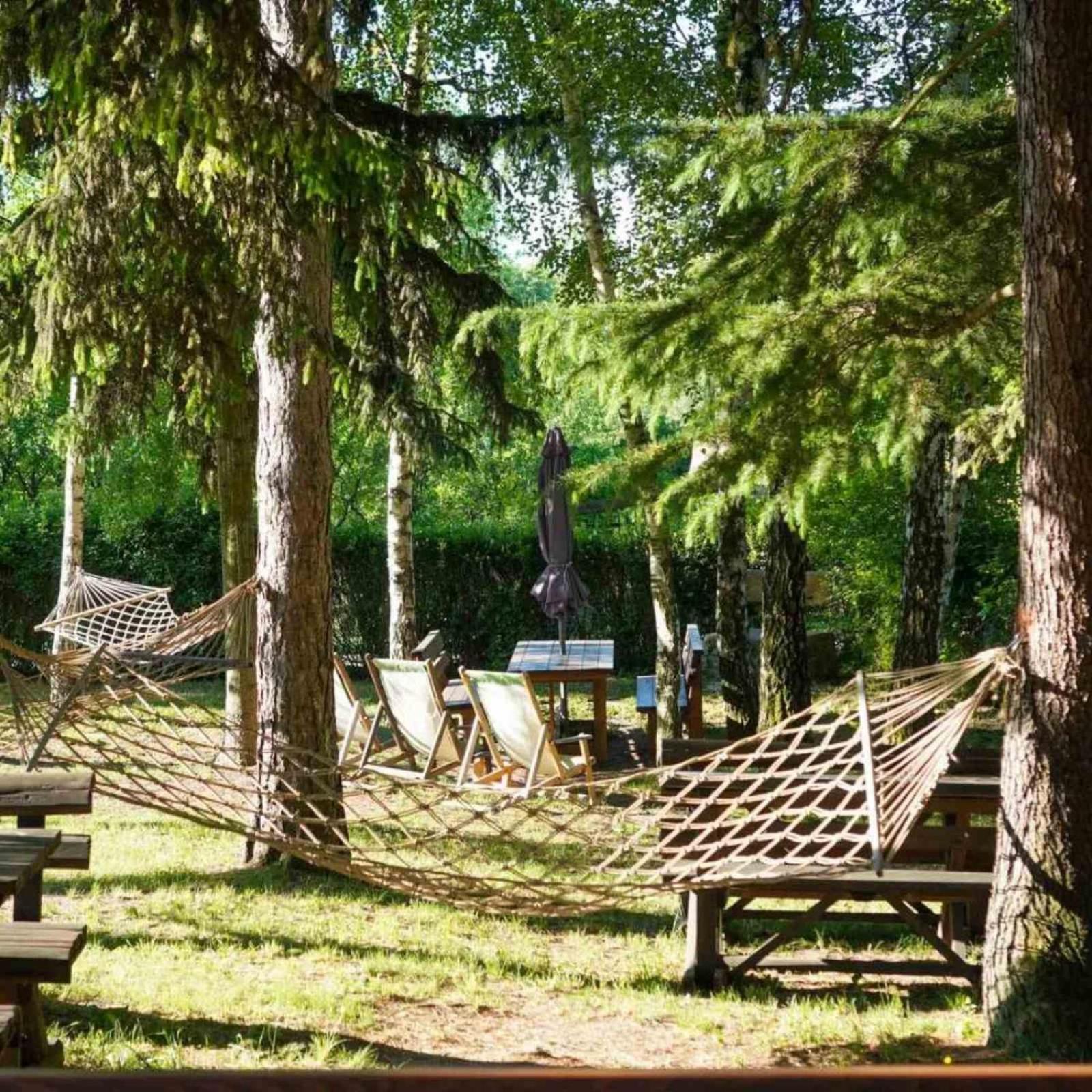Vila Davidovic-Fruska Gora Mandelos Exteriér fotografie