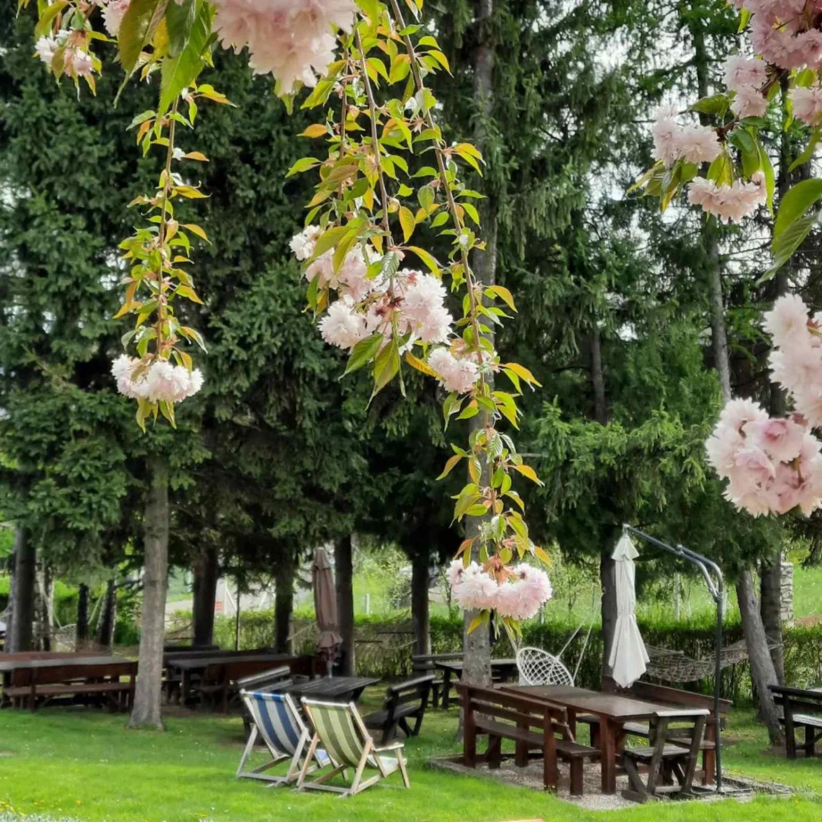 Vila Davidovic-Fruska Gora Mandelos Exteriér fotografie