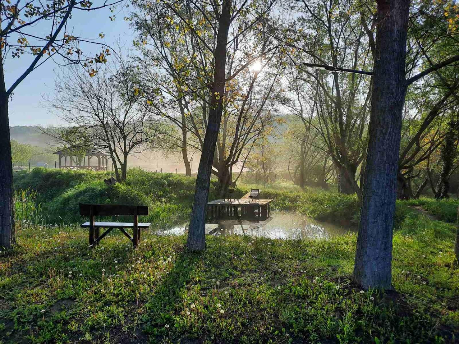 Vila Davidovic-Fruska Gora Mandelos Exteriér fotografie