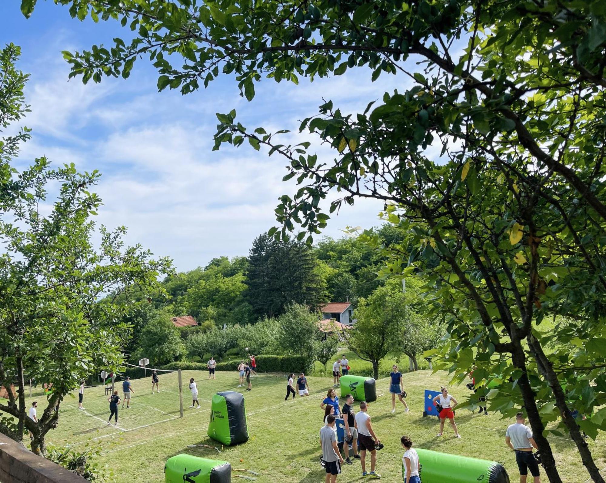 Vila Davidovic-Fruska Gora Mandelos Exteriér fotografie