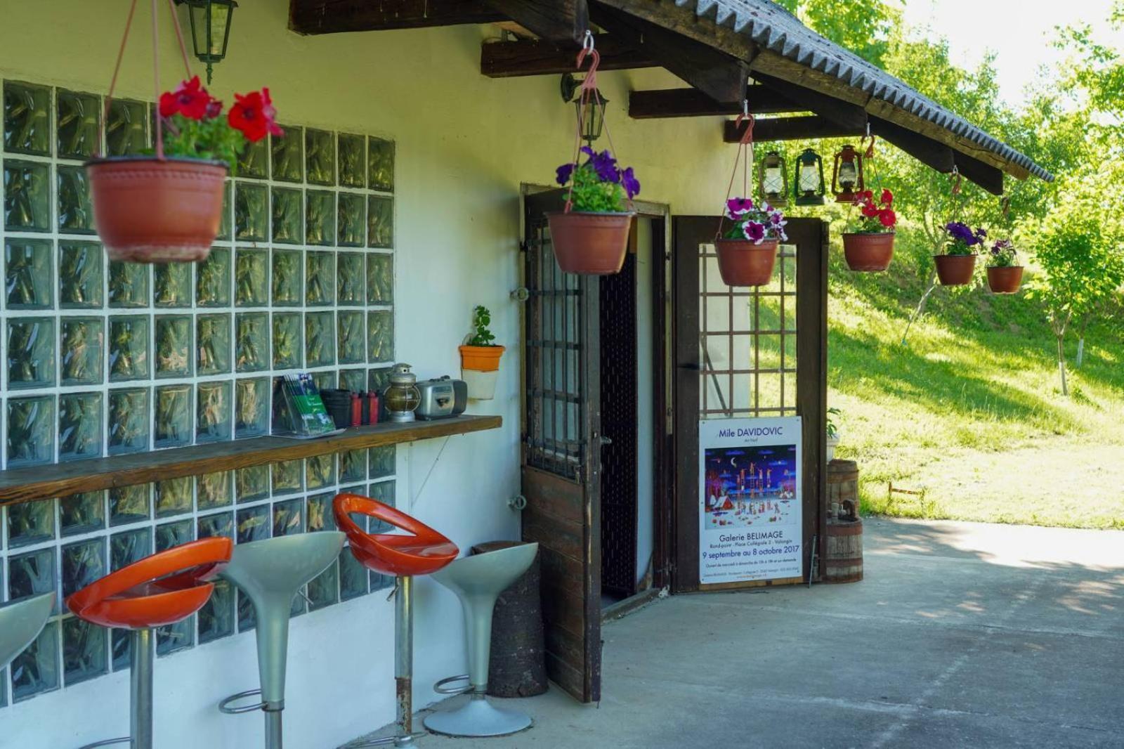 Vila Davidovic-Fruska Gora Mandelos Exteriér fotografie