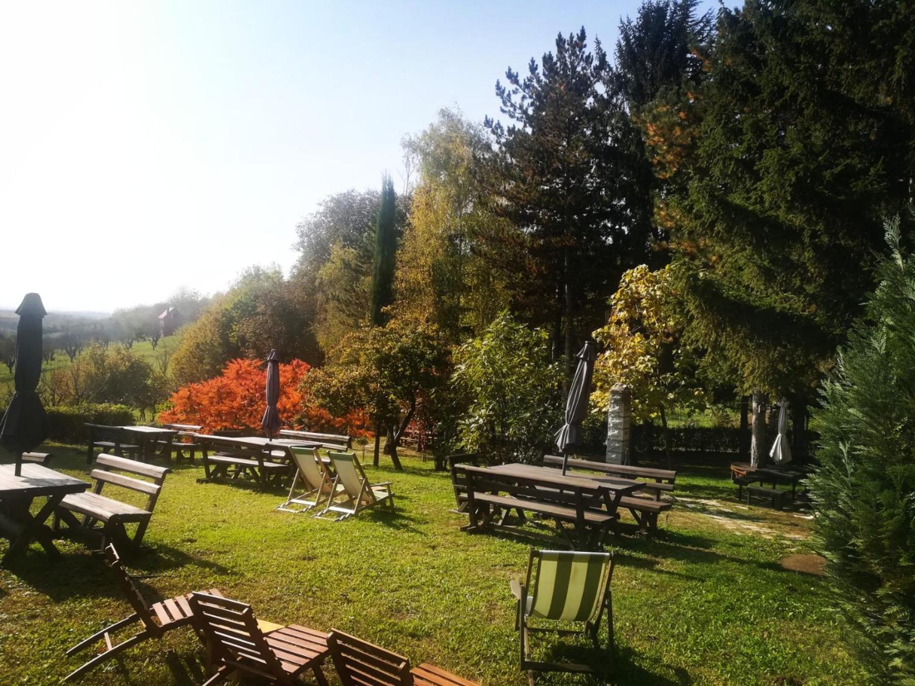Vila Davidovic-Fruska Gora Mandelos Exteriér fotografie