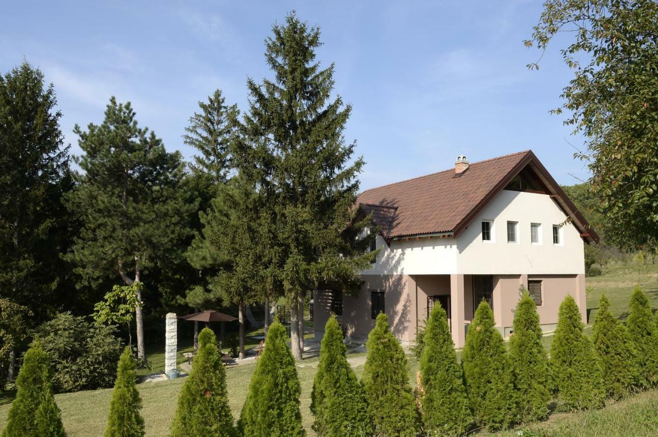 Vila Davidovic-Fruska Gora Mandelos Exteriér fotografie