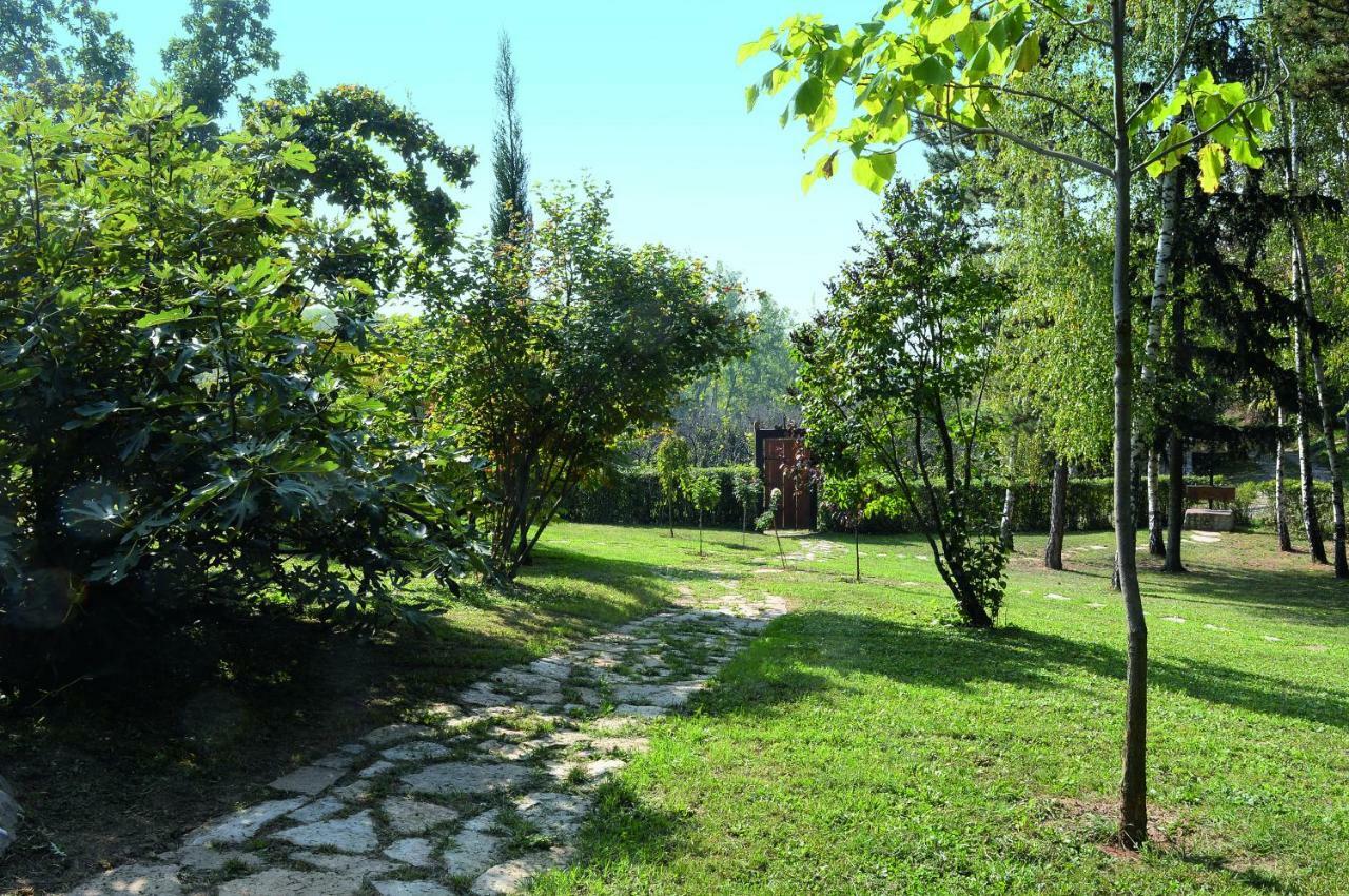Vila Davidovic-Fruska Gora Mandelos Exteriér fotografie