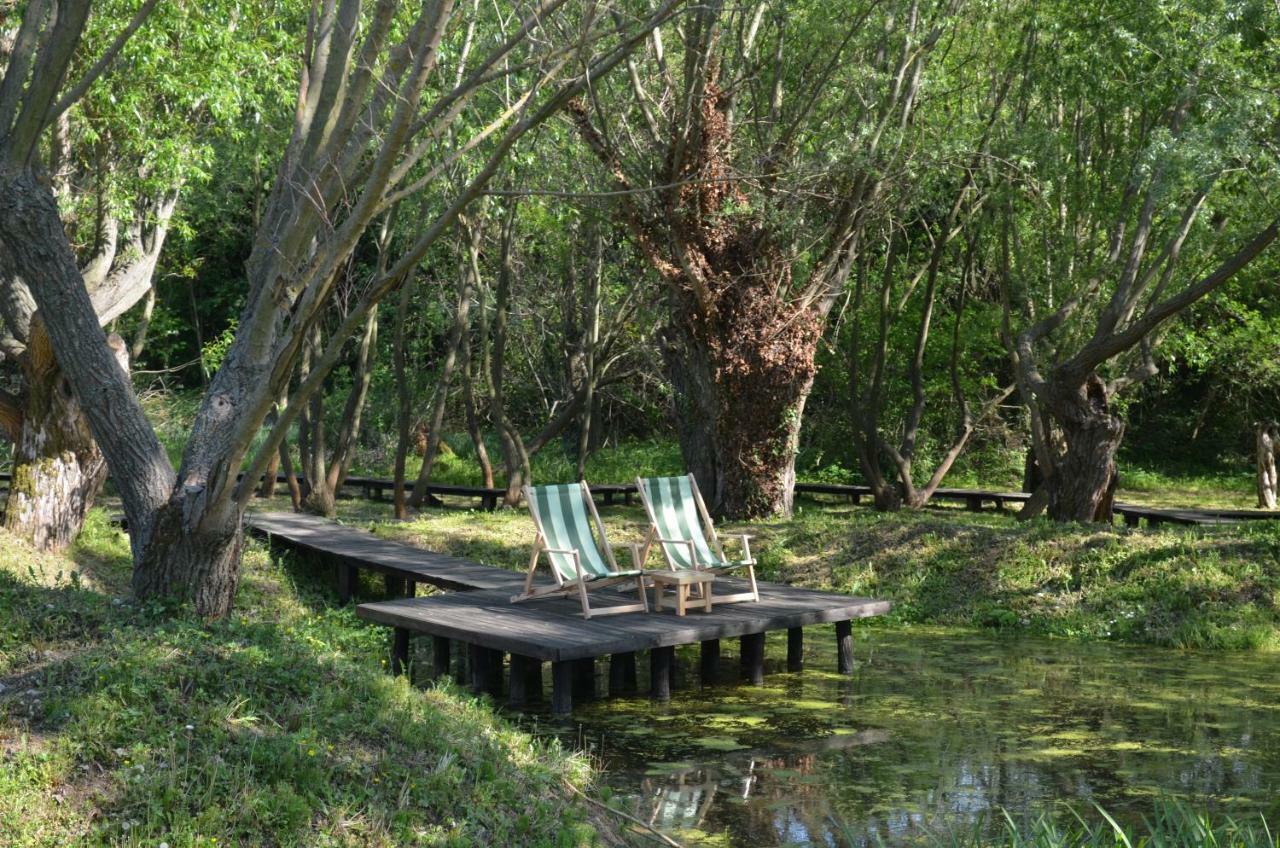 Vila Davidovic-Fruska Gora Mandelos Exteriér fotografie