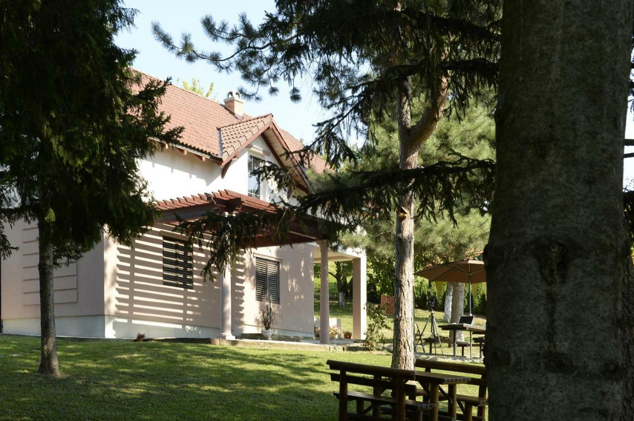 Vila Davidovic-Fruska Gora Mandelos Exteriér fotografie