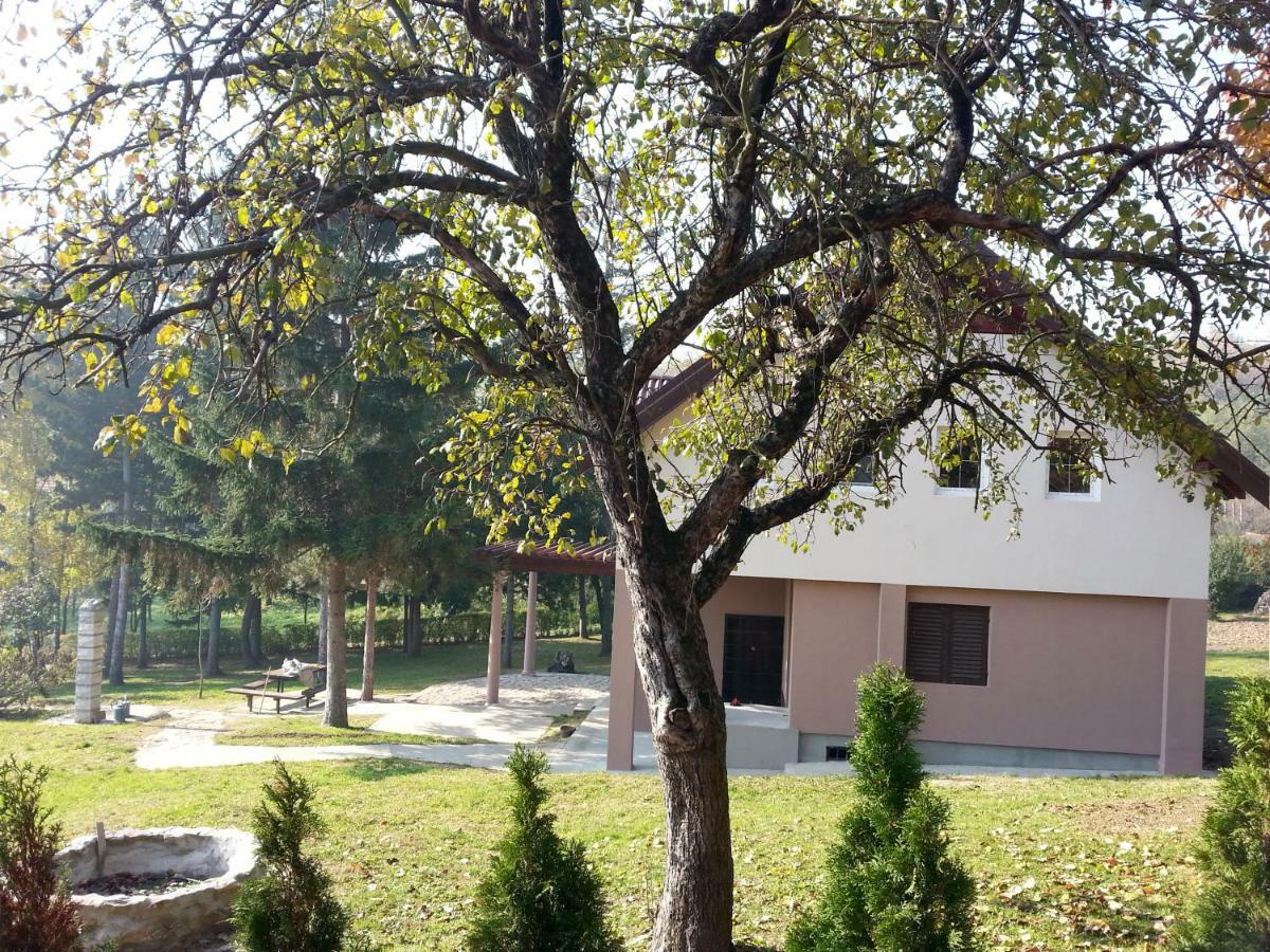 Vila Davidovic-Fruska Gora Mandelos Exteriér fotografie