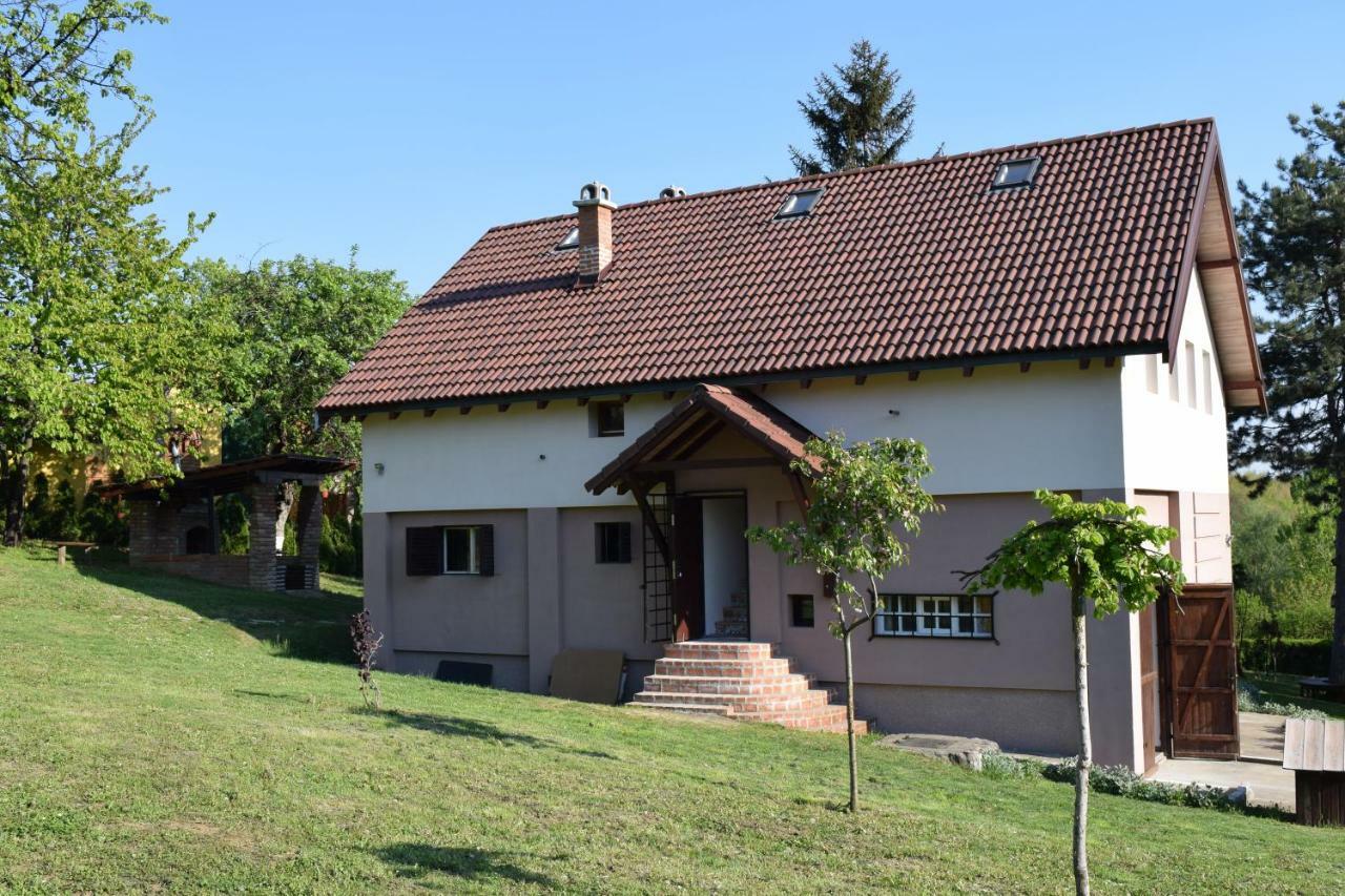 Vila Davidovic-Fruska Gora Mandelos Exteriér fotografie
