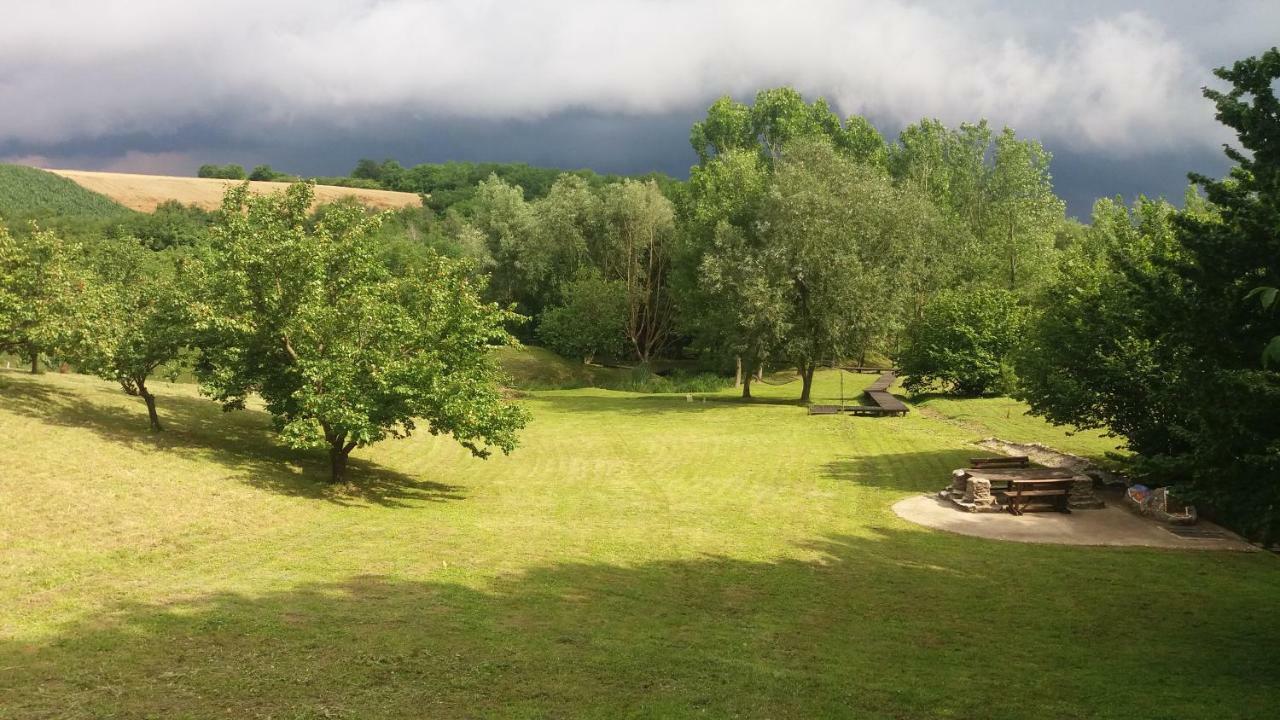 Vila Davidovic-Fruska Gora Mandelos Exteriér fotografie